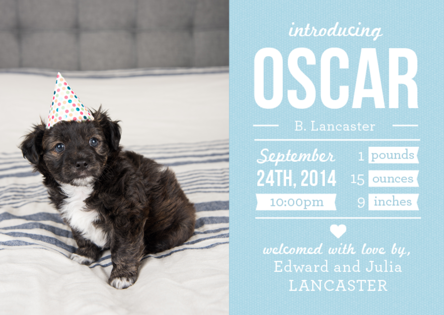 From Birth Announcements to Puppy Announcements!