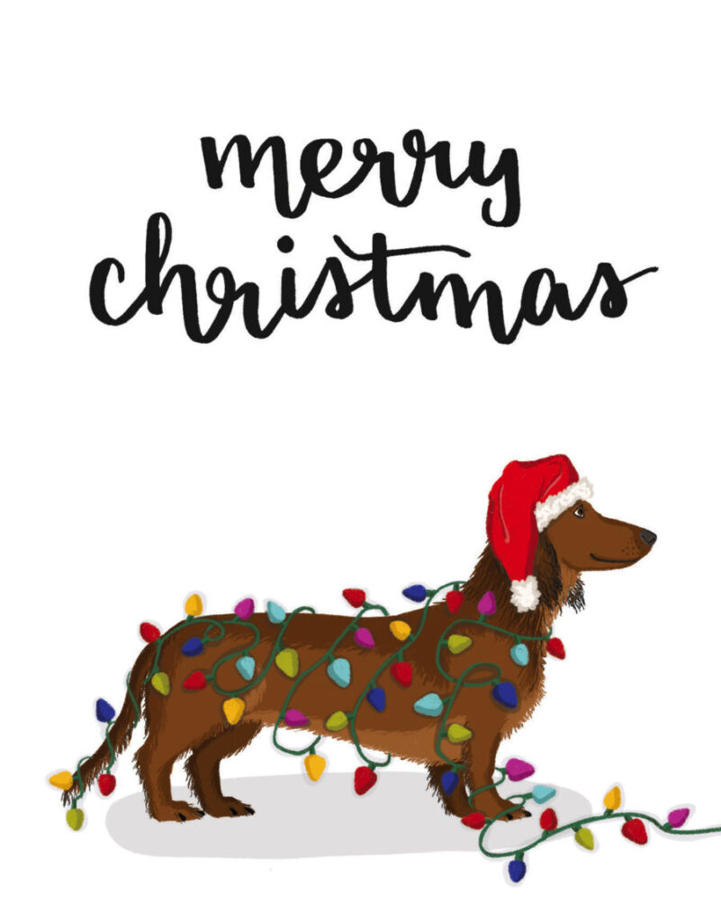 A dachshund wrapped in colorful Christmas lights wears a Santa hat. Text above reads, "Merry Christmas.